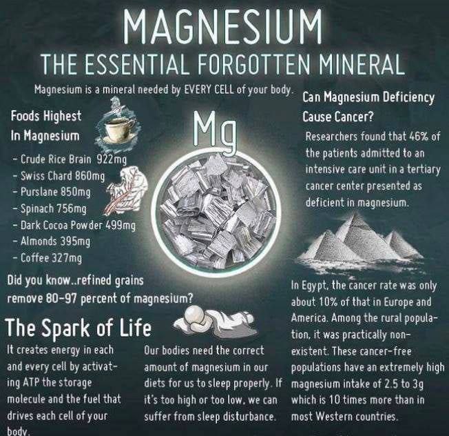 🌿 Magnesium Sources &amp; Facts – The Miracle Mineral 🌿

Magnesium is known as the beauty &amp; relaxation mineral, essential for cellular function, muscle recovery, and stress relief. It promotes regeneration, relaxation, and overall well-being.

Top Magnesium-Rich Foods:

🍫 Cacao
🌱