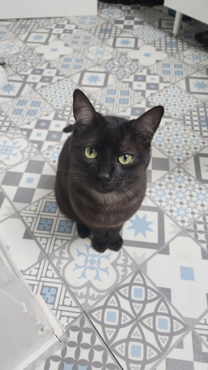 ma_cstl's tweet photo. @CerfiaFR Mon ptit bouiboui 🥰 https://t.co/cINPXu7Xc4