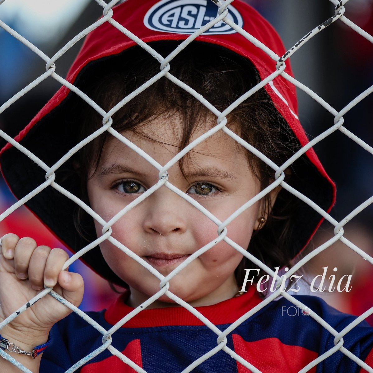 Foto SL (@fotossl) on Twitter photo 