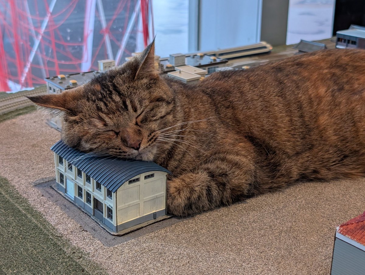 kazami_daifuku's tweet photo. ねこ、健やかであれ https://t.co/4Pz67iBnCa
