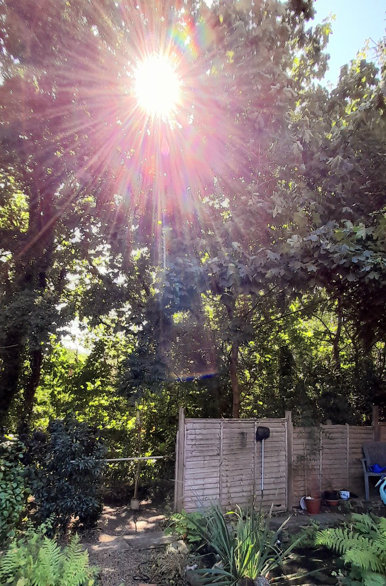 Sun is shining through the wind waving woods at the end of the garden. The aroma of barbecue fills the air, while whining jets pass overhead with an extended roar. The "We Buy Any Car" kiosk in the car park below is busy with revving cars and hopeful sellers. Just another Sunday.