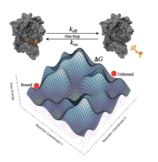 Seekrflow: Towards End-to-End Automated Simulation Pipeline with Machine-Learned Force Fields for Accelerated Drug-Target Kinetic and Thermodynamic Predictions

1. A novel study introduces seekrflow, an automated pipeline that integrates machine-learned force fields with enhanced