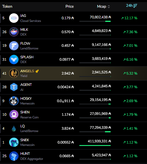 $IAG is leading the market on Cardano today🔥

Raise your hand if you're a holder🙋‍♂️
