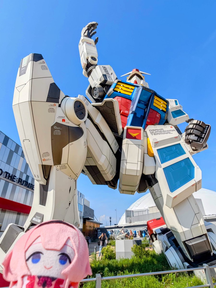 葉月紅葉💞🦩 on X