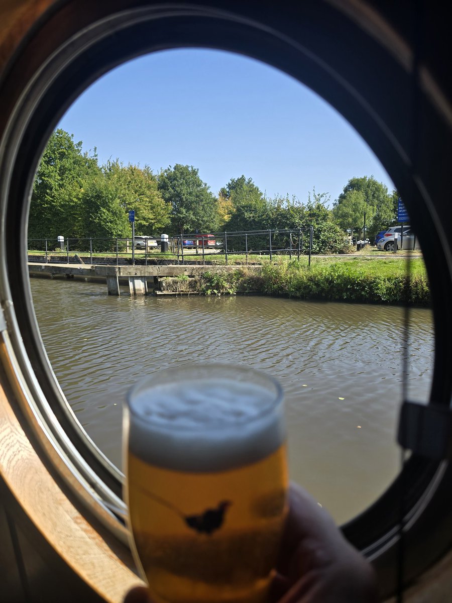 NB Goldi-Locks tweet media