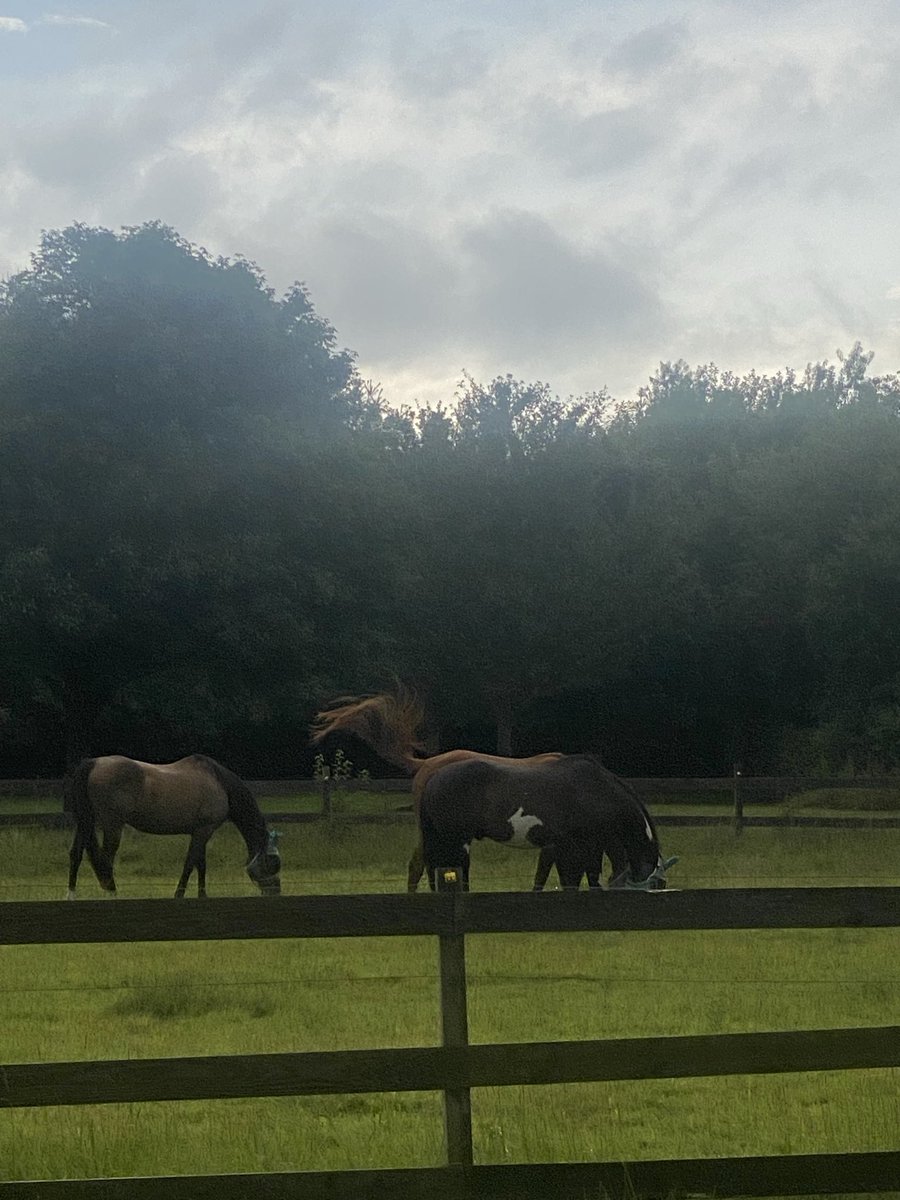 Good Morning Friends