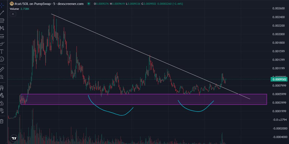 #cat where will he go?