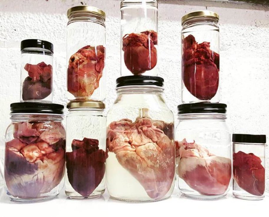 𝐭𝐡𝐞 𝐯𝐚𝐦𝐩𝐢𝐫𝐚 𝐬𝐡𝐨𝐰 🪦 (@horrorsthetics) on Twitter photo 