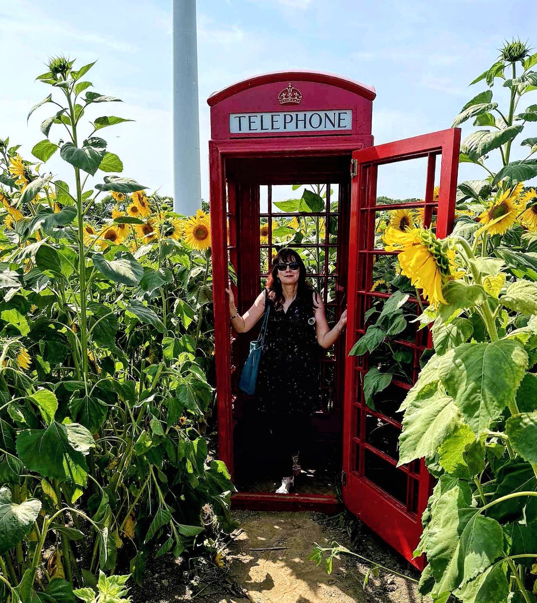 In amongst the sunflowers at Strawberry Fields 🍓 💛 🌻🌼 #sunflowers #StrawberryFields #SundayYellow #Lifton