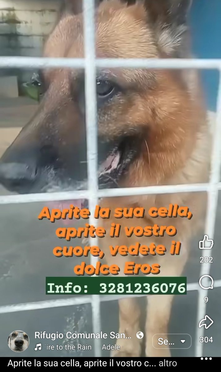giuseppe esposito (@geisup) on Twitter photo 