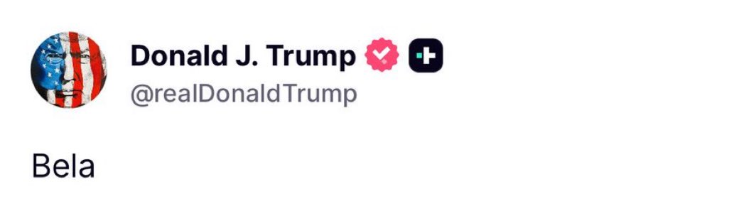 ✨Joe✨ tweet media