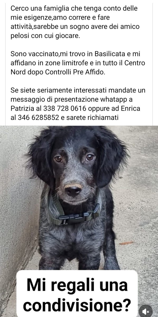 giuseppe esposito (@geisup) on Twitter photo 
