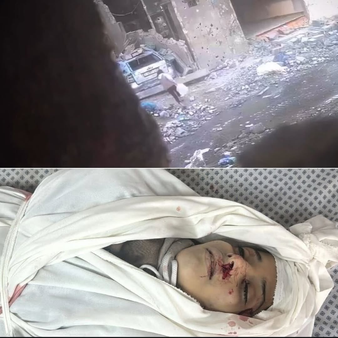 He name is Amna Al Mufti,

Killed while carrying water for her family in the north of Gaza.