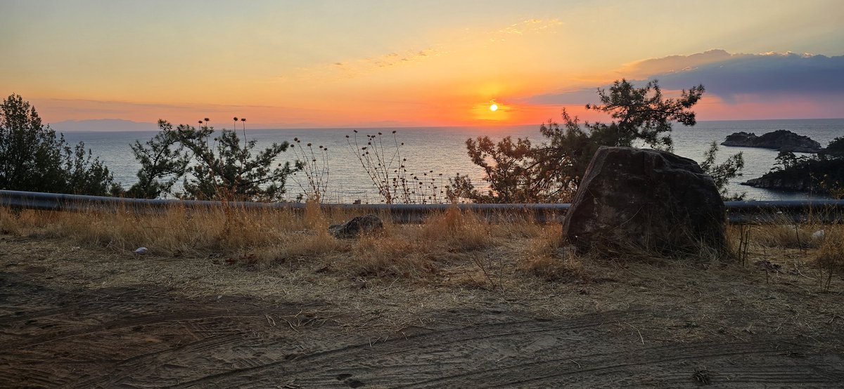 Shanebow Running & Tech tweet media