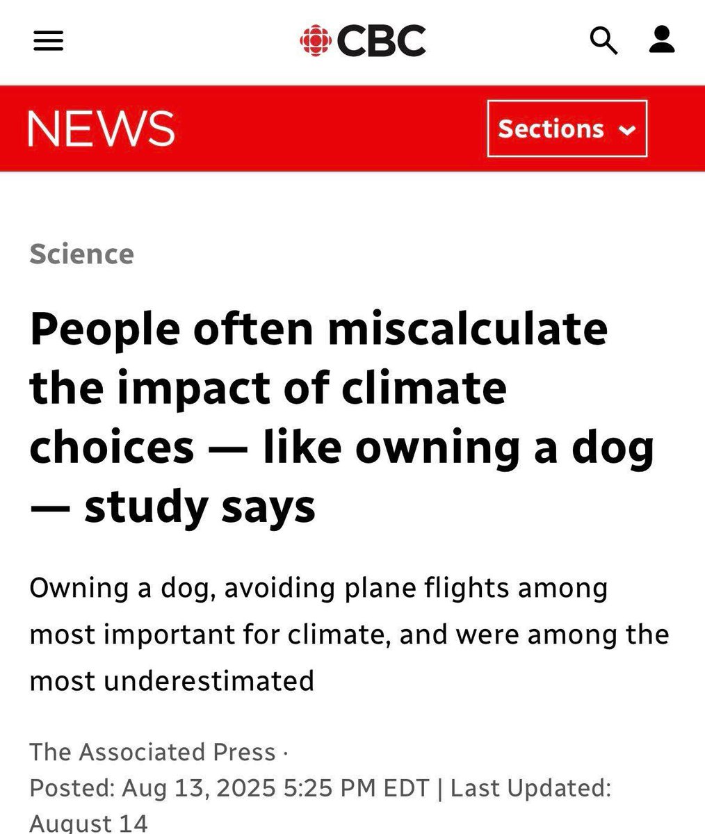 You must feel bad for owning dogs now… 🙄 
tHaNkS FoR sTaRtInG fIrEs FLufFy