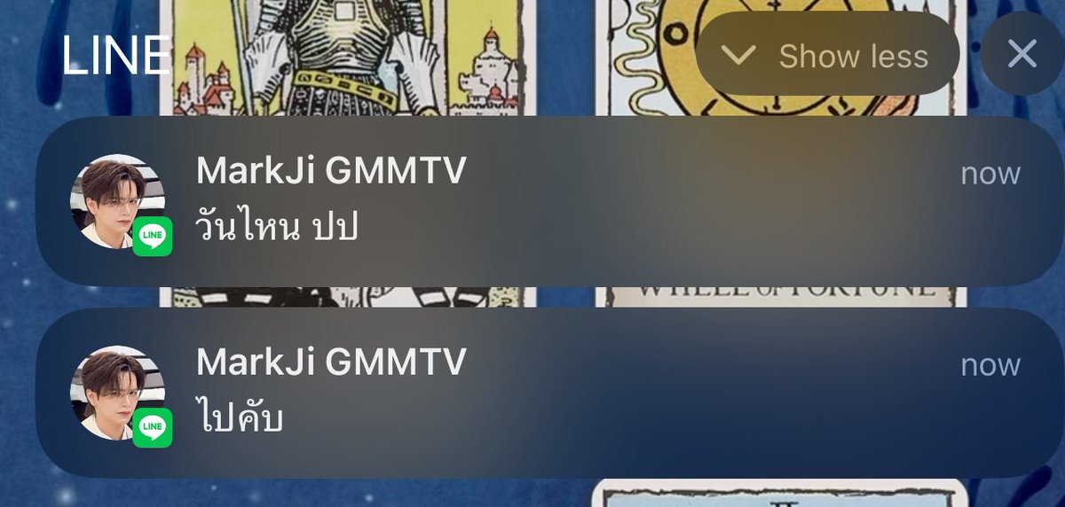 ฟีลให้เปียกแมวเลีย แมวรีบมากินอย่างไว