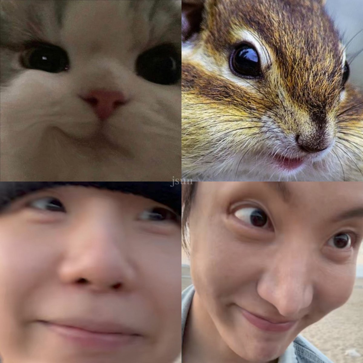 🐈‍⬛🐿️🤏🏻