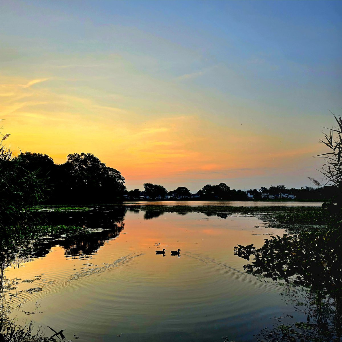 <a href="/AddisonGreenWX/">Addison Green</a> 
<a href="/AlexCalamiaWx/">Alex Calamia ☀️</a> 
<a href="/hoffmanrich/">RichHoffmanWeather</a> 
<a href="/TreutleinDenise/">Denise treutlein</a> 
<a href="/News12LI/">News12LI</a> 
<a href="/mark_tarello/">Mark Tarello</a> 
#n12stormwatchers 
Sunrise at the Massapequa lake this morning