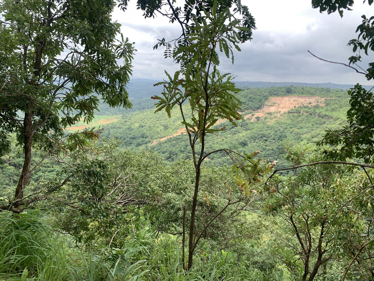 Spent my Saturday hiking 😁.