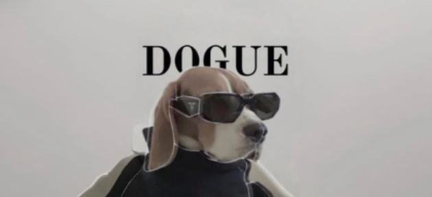 Apex 🇺🇸 (@apex0x) on Twitter photo $DOGUE is a parody meme based off of and supported by the famous fashion magazine Vogue.📸 <a href="/voguemagazine/">Vogue Magazine</a>
Here is a full thread with all of the #Dogue lore and everything that you need to know. 🧵
6UfynQAUASwqxSSEENzL7vMR1wmpQS6LXrNn8f3xpump $DOGUE is a parody meme based off of and supported by the famous fashion magazine Vogue.📸 <a href="/voguemagazine/">Vogue Magazine</a>
Here is a full thread with all of the #Dogue lore and everything that you need to know. 🧵
6UfynQAUASwqxSSEENzL7vMR1wmpQS6LXrNn8f3xpump