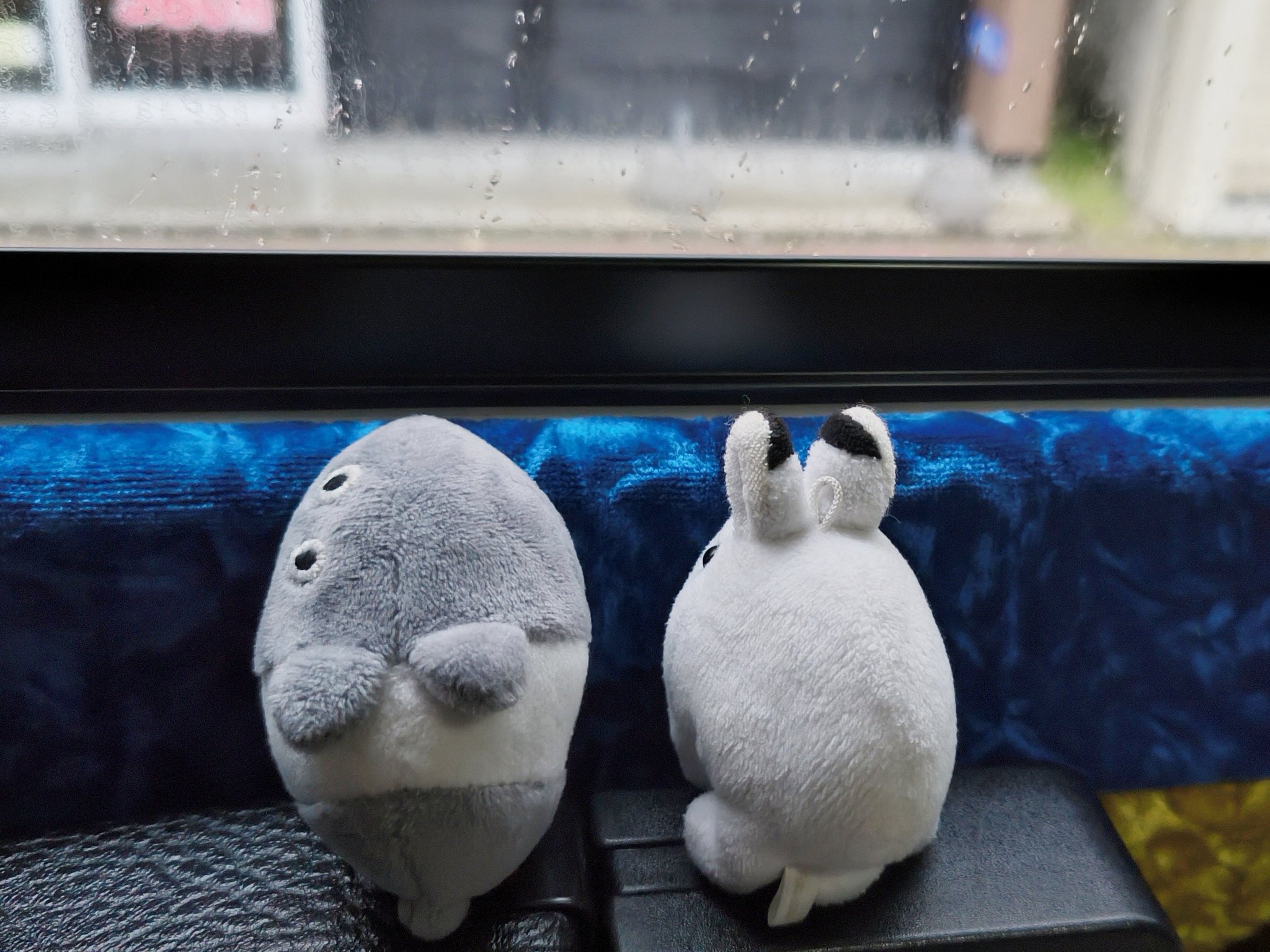 ふくうさぎ🐇9/2-7 猫兎戯画雑貨展(札幌) on X: 