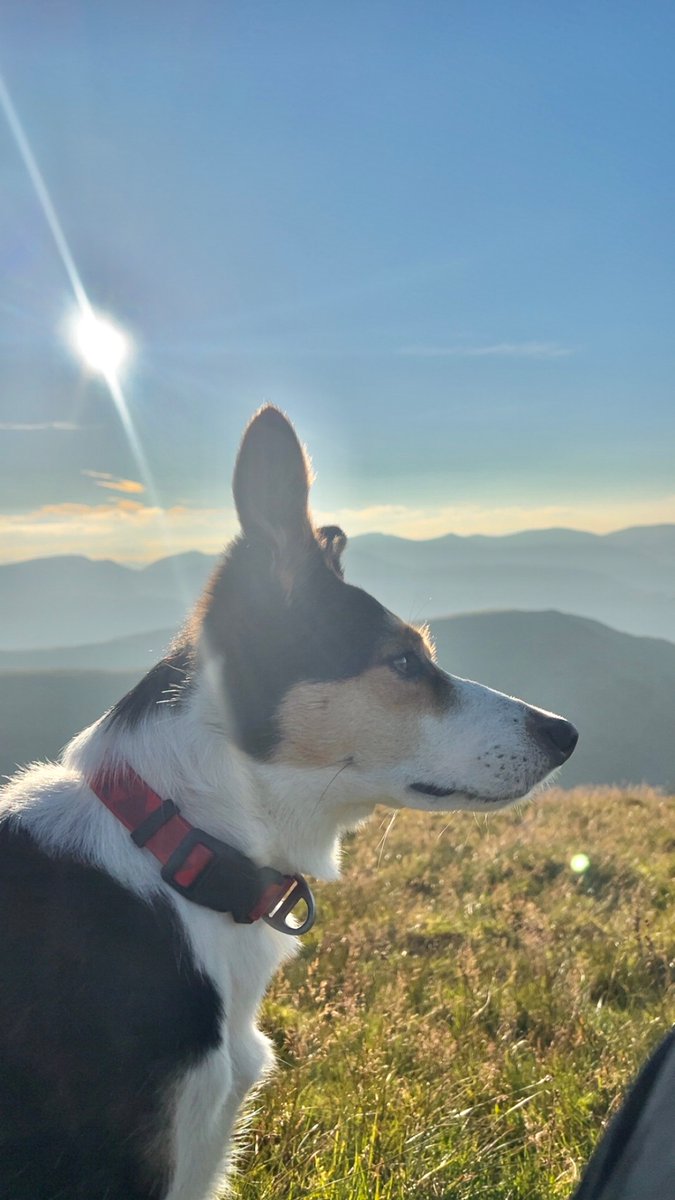 We’ve been away for a bit but popped in to say we are all good and have just had a lovely couple of days in the Lakes with a wild camp away from humans 🥰⛰️