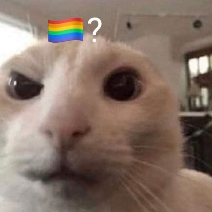 wonbitesize's tweet image. lelaki itu lagi