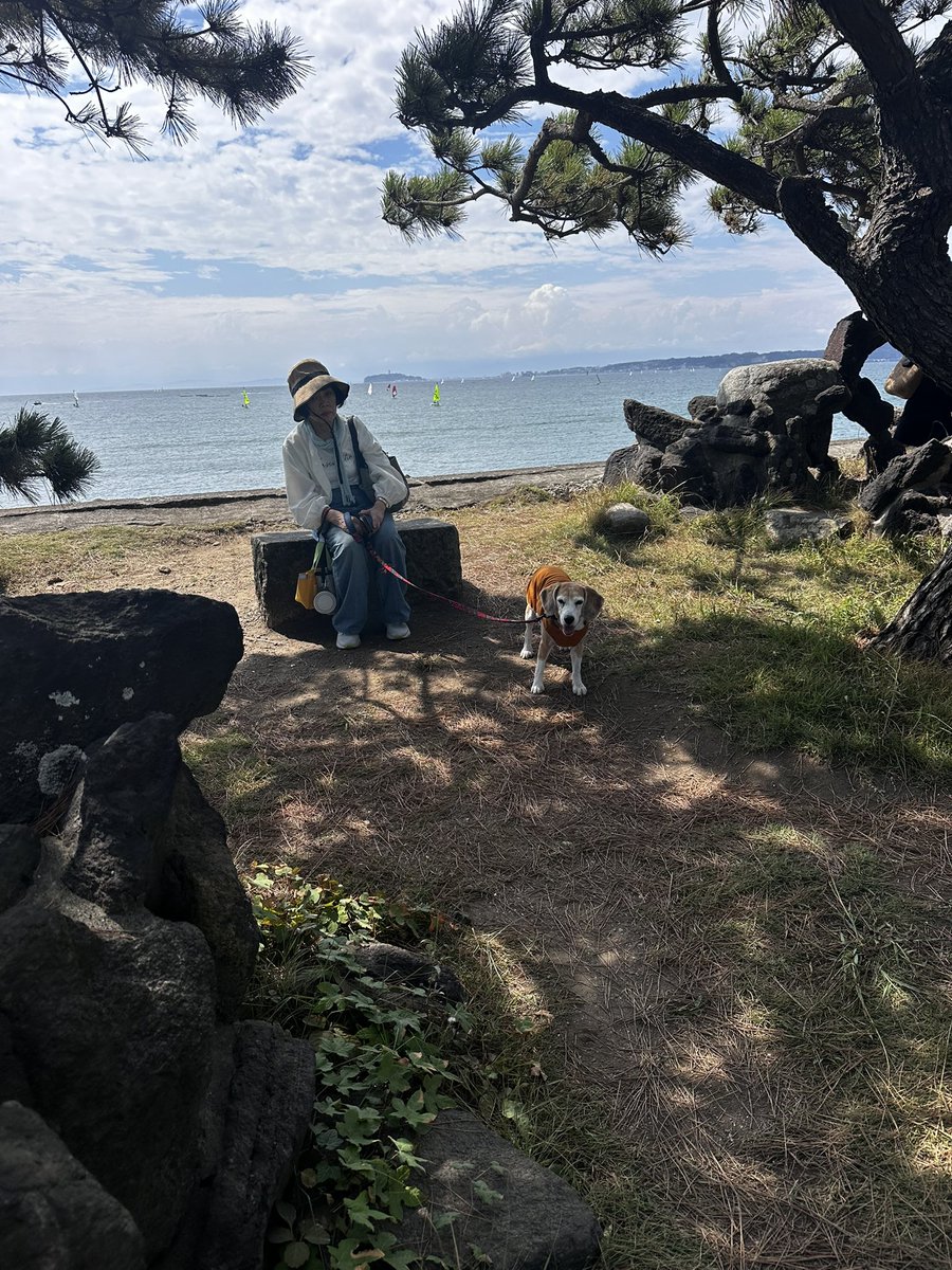 lecpapa's tweet photo. 今年の夏休み
軽井沢
袋田の滝
森戸神社

全部日帰り
走行距離3日間で1,200km https://t.co/UeJ32pC0qU