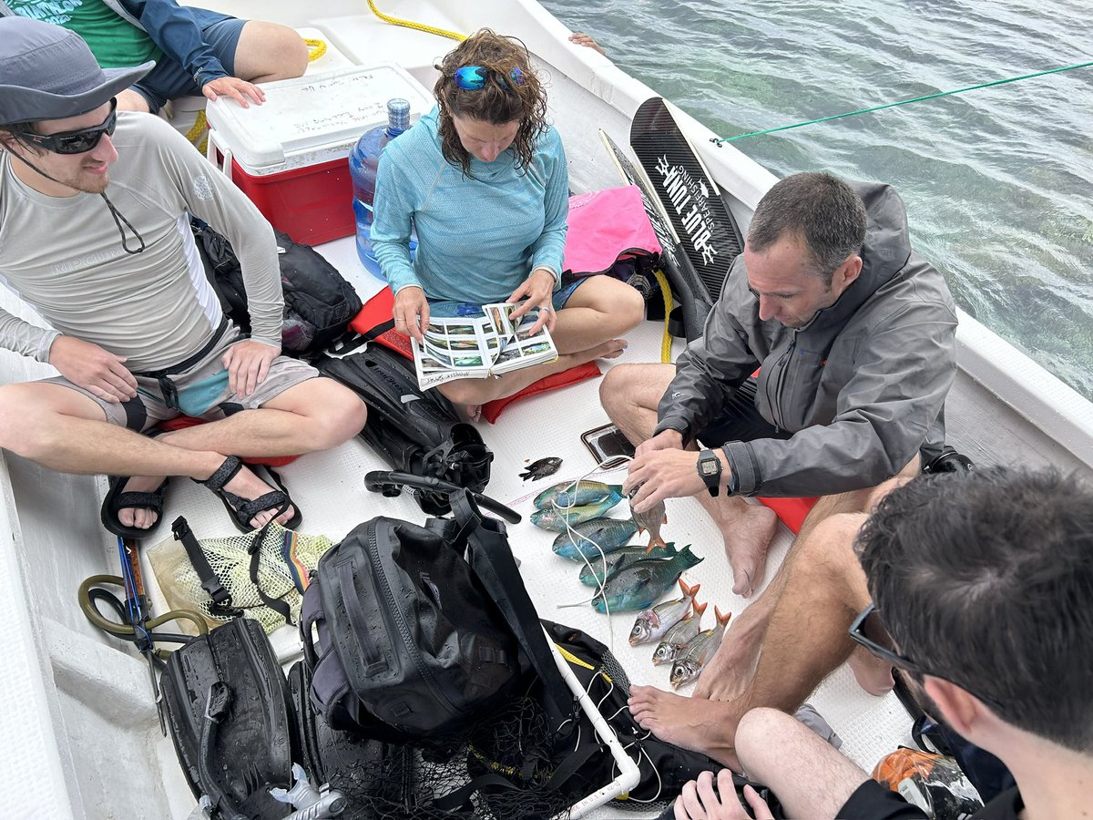 Carl Smith tweet media