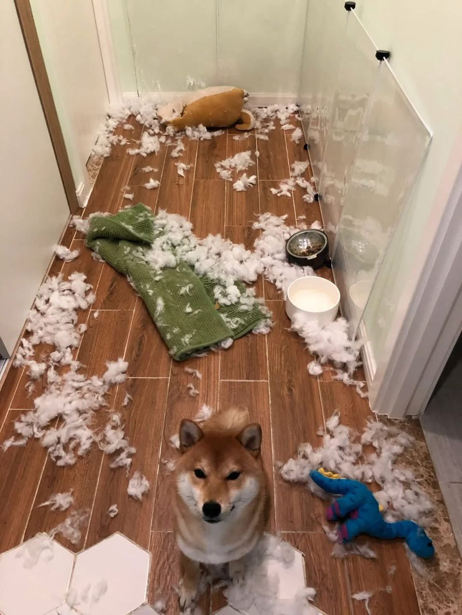 Black Black Sabbath tweet media