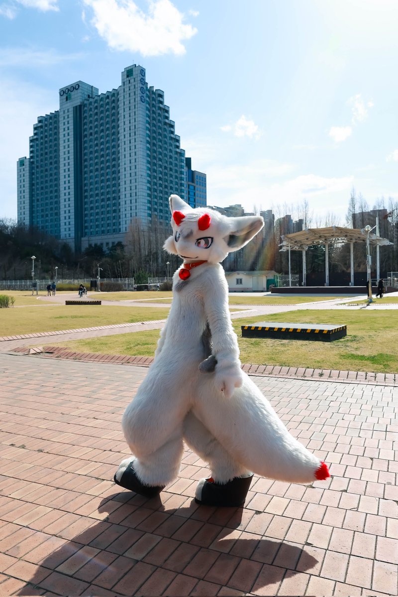 🐉
📷:<a href="/Mone_Kloe/">MONE(모네)</a>
#FursuitEveryday #Fursuit