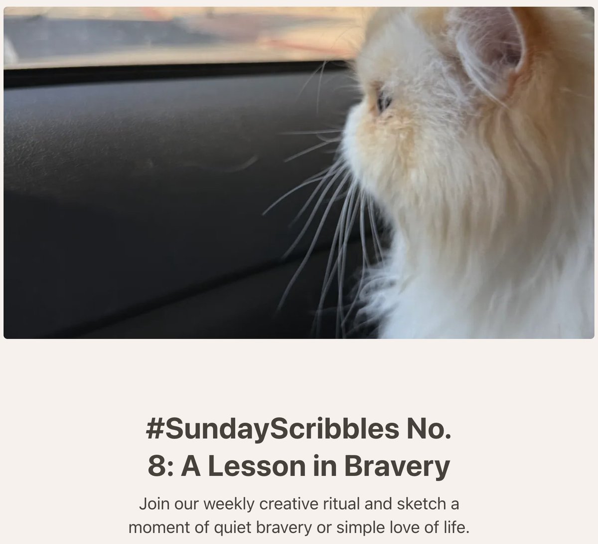 redefineED's tweet photo. ✨ Happy Sunday #PLN!
✏️ Join us for a #creative start to your #Sunday morning, for #SundayScribbles ➡️https://t.co/eILF0SAnlm
🐾 Constantly #learning to #live #life, bravely & curiously, like my boy #Misho! ❤️
#CreativelyWondering #Substack #CreativeRoutine https://t.co/vDBXGBjhng
