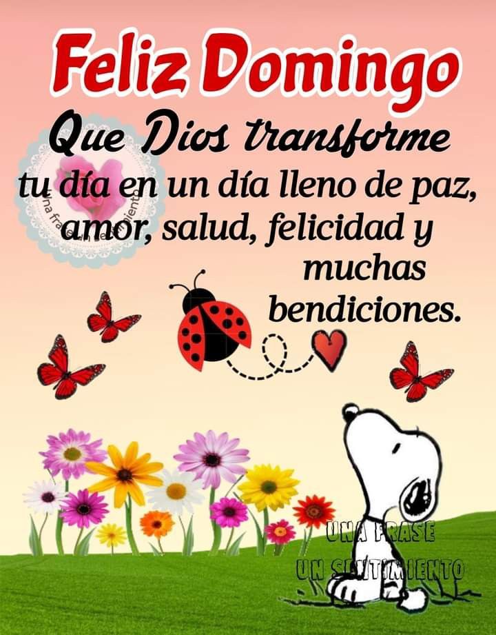 Buenos días ⛅💕☀
Bendecido domingo 
¡Gracias por existir!