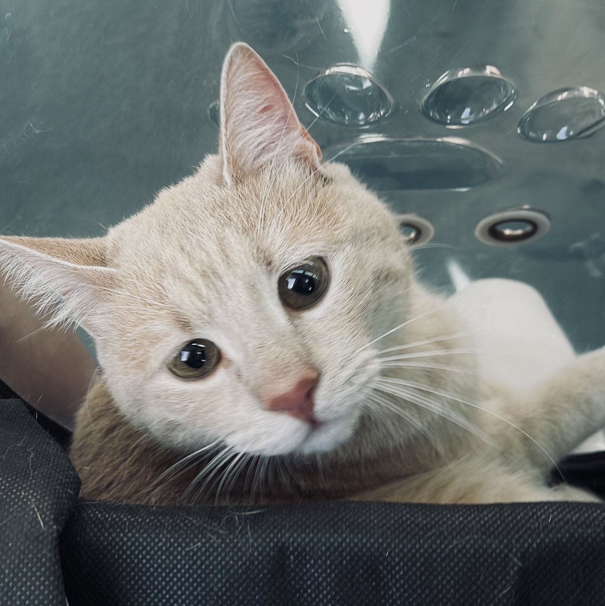 iremonline__'s tweet photo. En çokta seni özlüyorum anneciğim 🥺 https://t.co/HRLGhHdvUn