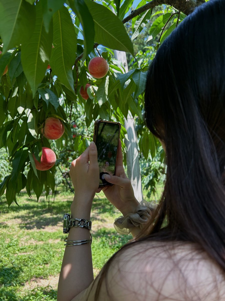桃狩り😽🍑
4つ御持ち帰りで800円は無名だとしても安すぎ