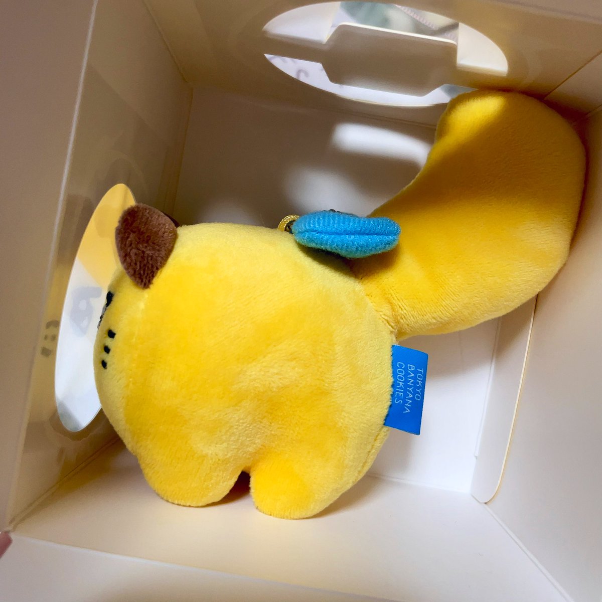 pp_s2ooO's tweet photo. 東京駅でお迎えしたばにゃ奈のぬいぐるみとんでもなくかわいい

フォルムたまらんっ🍌🐱
むちむち https://t.co/YGfhDg5ugU