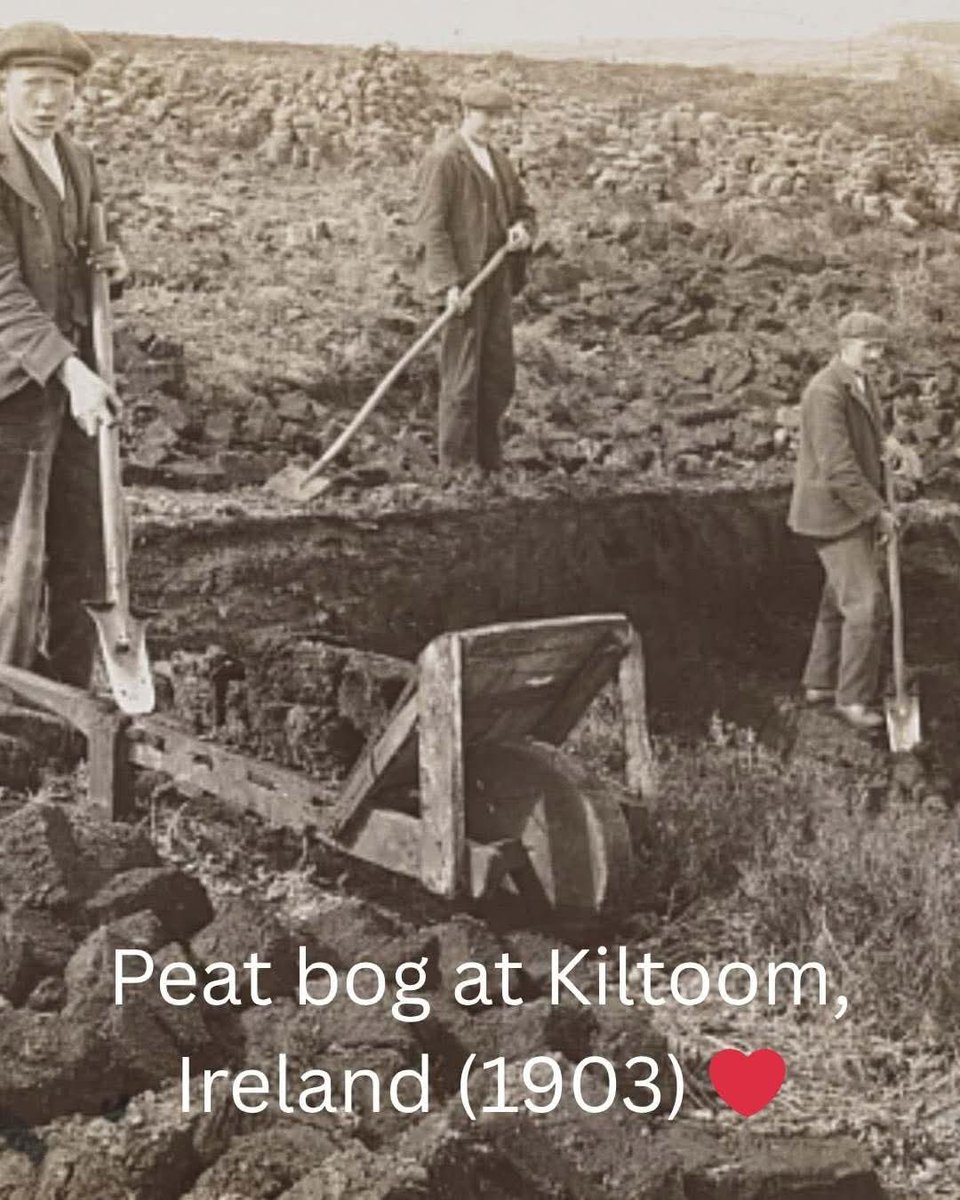 ThisIsIreland3's tweet photo. Hard graft but it kept the homes warm and cosy and for cooking too 🔥🇮🇪
📸 Irish Heritage (FB)
#Turf #Ireland #Bogs #Oldphotos https://t.co/MMFUtBOD7U