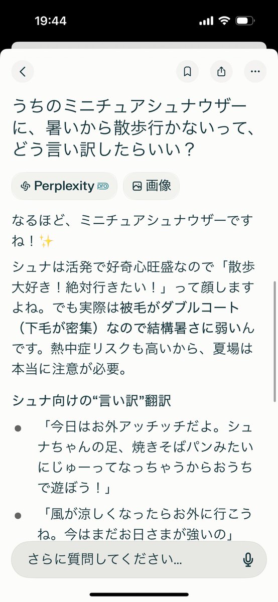 nanabutler's tweet photo. #Perplexity を試すだけの仕事やってみました！
お題は「#パープレ言い訳ジェネレーター」

PayPayポイントが当たるキャンペーン実施中✨
参加方法は @SoftBank をチェック！

#パープレPRスタッフ募集 https://t.co/VWMbGLDfaX