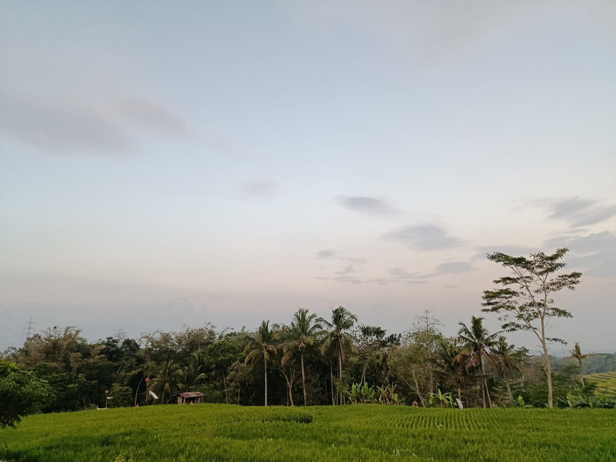 Anieta_Imuetz's tweet image. Ketika liburan ke tempat nenek 🌾🌾🌾 #holiday #sunday #ricefield #NatureBeauty