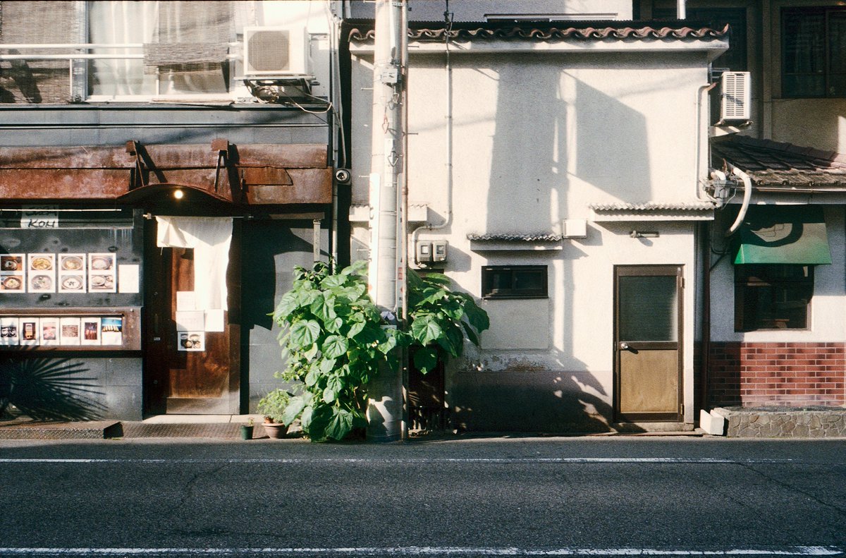 zayasu_atelier's tweet photo. アーケードの影は涼しく、通りの緑は元気すぎて、
神社の階段は果てしなくて。
白い橋の上で、汗がじっとりTシャツを湿らせた。
#フィルム写真 #Rollei35 https://t.co/Db2soYJFY5