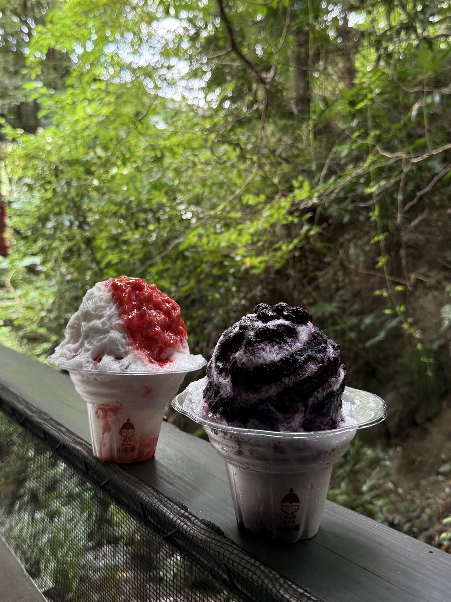 マイナスイオンと夏を感じた日