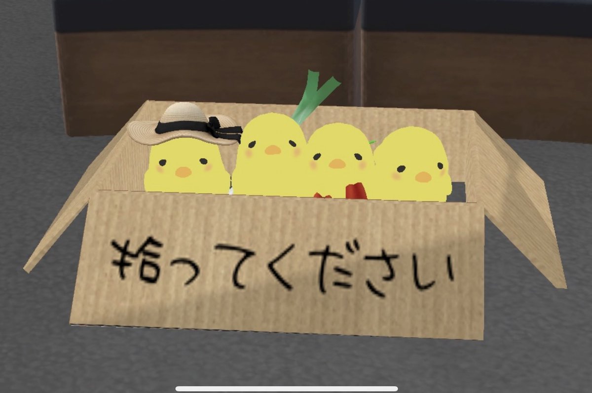 ヒヨコになってダンボールに入ります

少し待ちます…

増えた🐥🐥🐥🐥