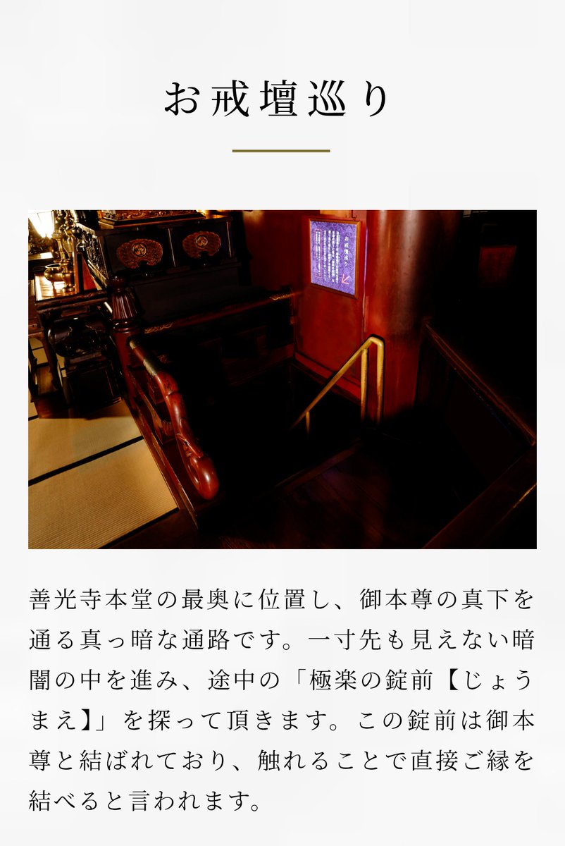 活動歴および当時の関連ビジュアル記録