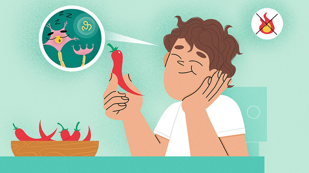 ילד צעיר אכל פלפל חריף ולא הרגיש כלום: מקרה שעזר לחוקרים להבין איך מוטציה נדירה בחלבון משנה את הדרך שבה אנחנו חווים חום, קור וכאב.
📖מאמר ישראלי חדש באתר שלנו: bit.ly/4fCj5DQ
תודה לכותבים: פרופ׳ ברוך מינקה, ד"ר רחל זגורי, ד"ר ריטה גוטרוב וד"ר בן כץ – האוניברסיטה העברית.