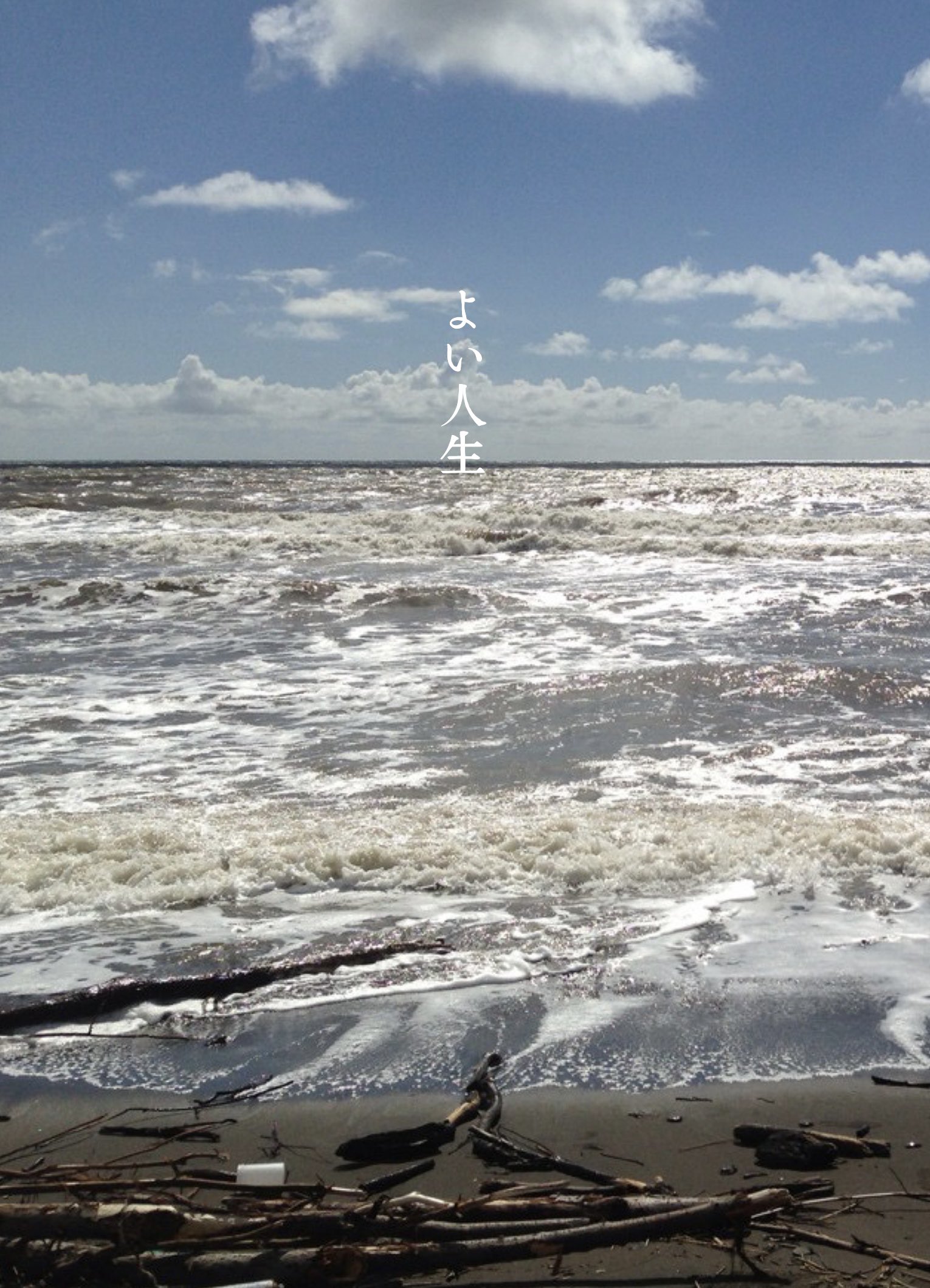 ぽて▶︎ 東4シ62a (@xxxxpotexxxx) / X