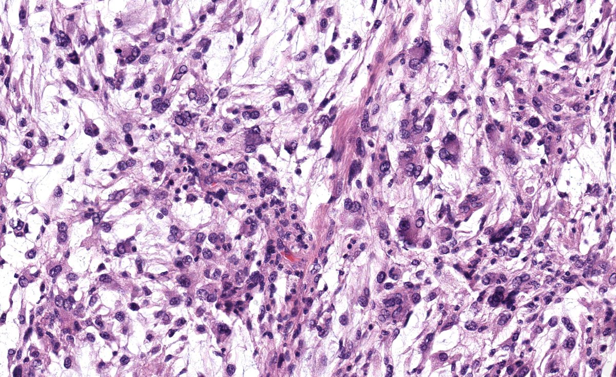 Jerad Gardner, MD tweet media