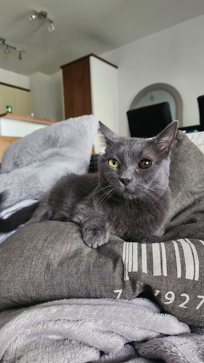 JyJindeed's tweet photo. our new friend 🥺 https://t.co/CjMiTzTAFD