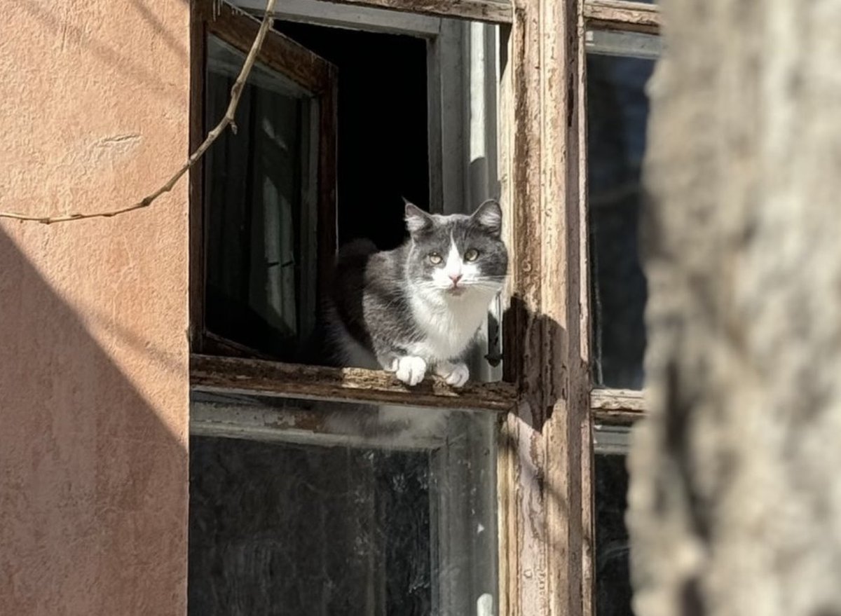 ♡ (@aestheticbased) on Twitter photo 