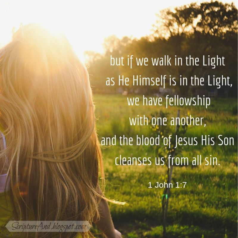 ScriptureAnd's tweet image. Walking in the light means living with the knowledge of God’s presence daily. His presence should help us fellowship with other Christians and be cleansed from sin. #OurWalkWithGod #WalkInLight