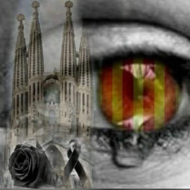 TOTEMER - RED ZULÚ tweet media